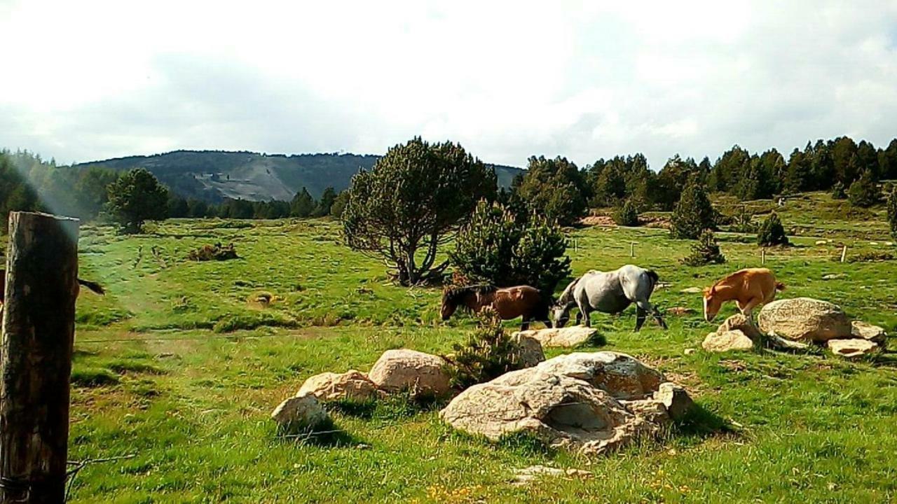 Magnifique Cosy Style Campagne Avec Belle Terrasse Plein Sud Vue Sur La Chaine Des Pyrenees - A Quelques Minutes Du Centre Et Du Telecabine